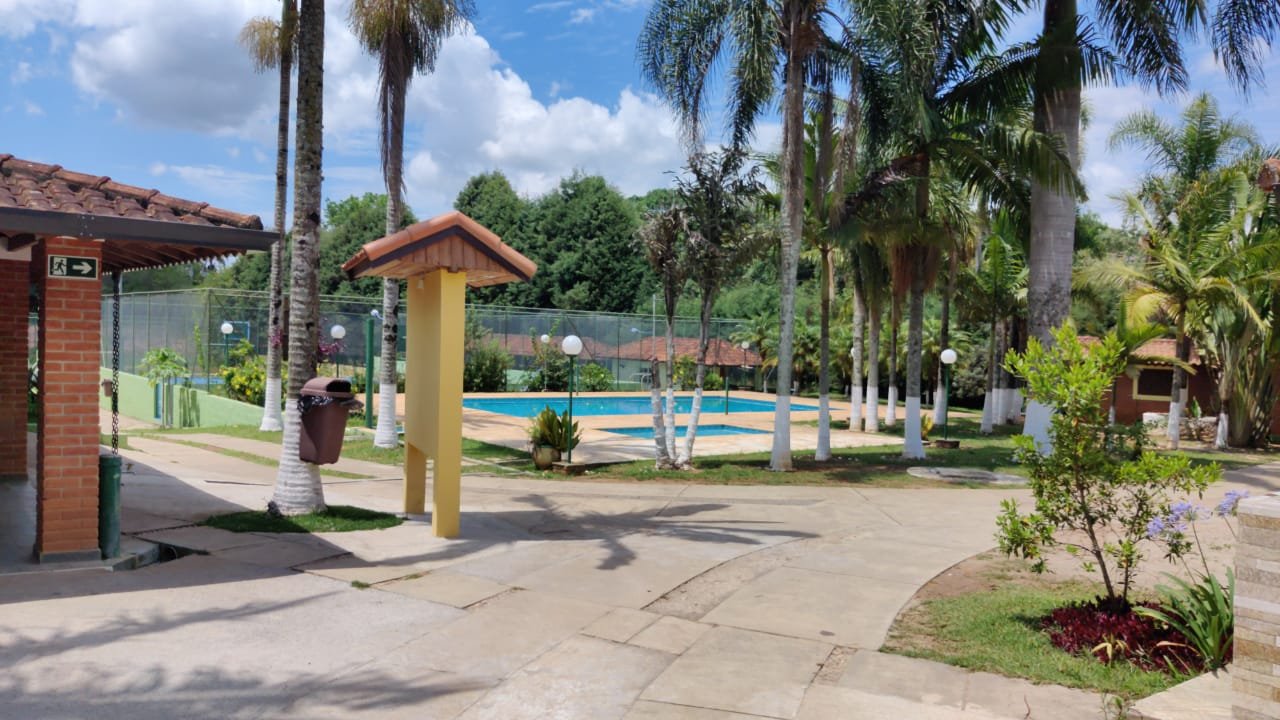 Área com palmeiras e piscina